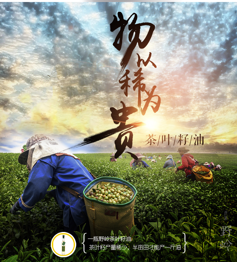 冷榨茶油籽油375*2礼盒装(图4)