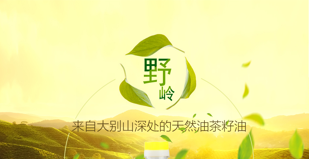 绿色压榨油茶籽油500MLx2(图1)